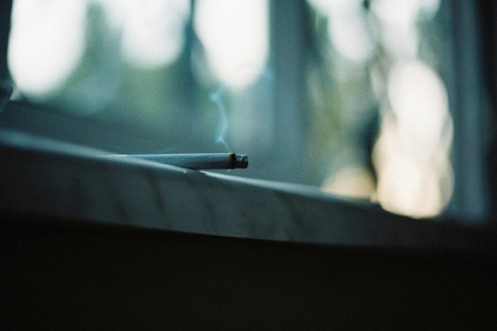 TABACO DAÑA EL PLANETA