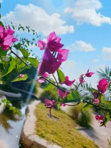 El Impacto Positivo: Cómo las Empresas con Propósito Transforman el Mundo y Sus Resultados