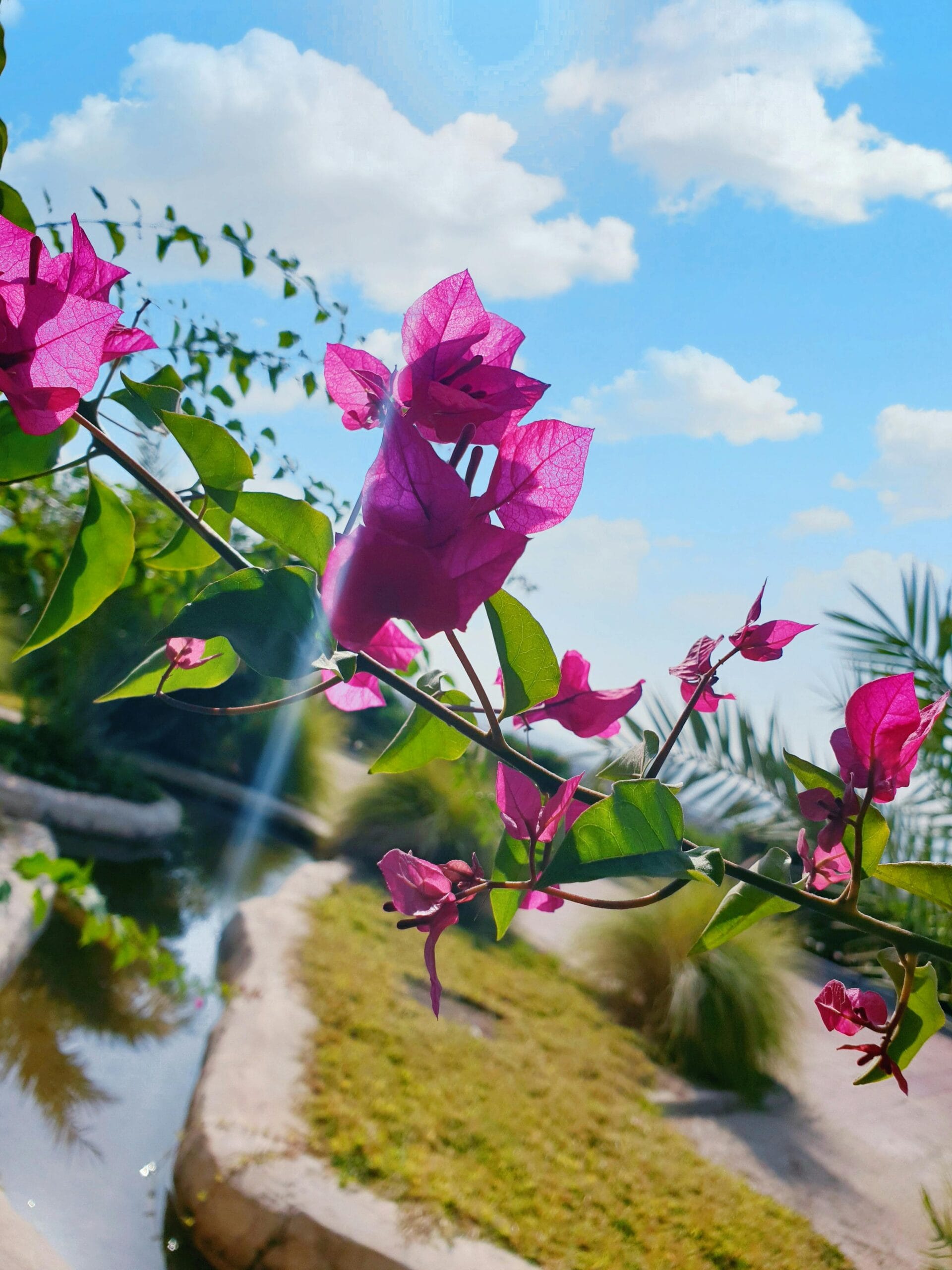 El Impacto Positivo: Cómo las Empresas con Propósito Transforman el Mundo y Sus Resultados