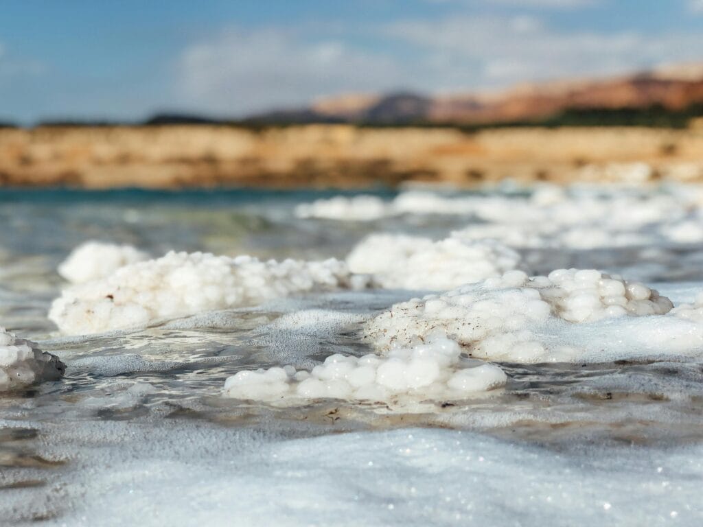 Energía, Riqueza y Futuro: El Petróleo Venezolano Bajo la Lupa