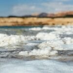 Energía, Riqueza y Futuro: El Petróleo Venezolano Bajo la Lupa